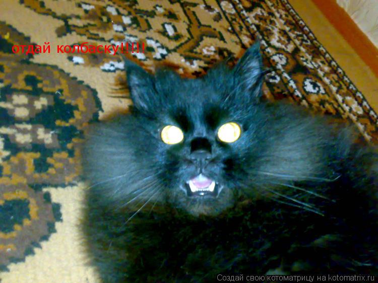 отдай колбаску!!!!!... Котоматрица: отдай колбаску!!!!!