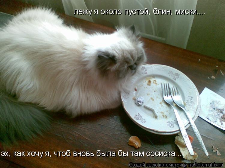 лежу я около пустой, блин, миски.... эх, как хочу я, чтоб вновь была бы там сосиска...... Котоматрица: лежу я около пустой, блин, миски.... эх, как хочу я, чтоб вновь была бы там сосиска...