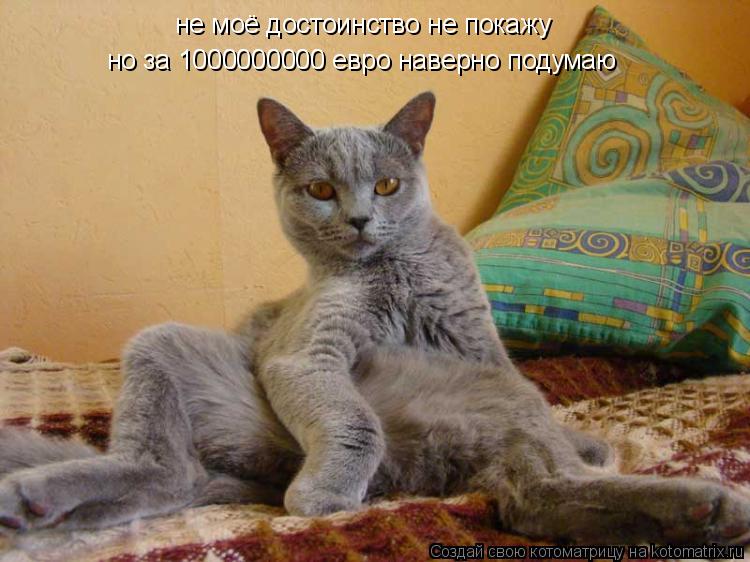 не моё достоинство не покажу но за 1000000000 евро наверно подумаю... Котоматрица: не моё достоинство не покажу но за 1000000000 евро наверно подумаю