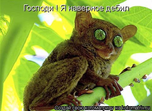 Господи ! Я наверное дебил... Котоматрица: Господи ! Я наверное дебил