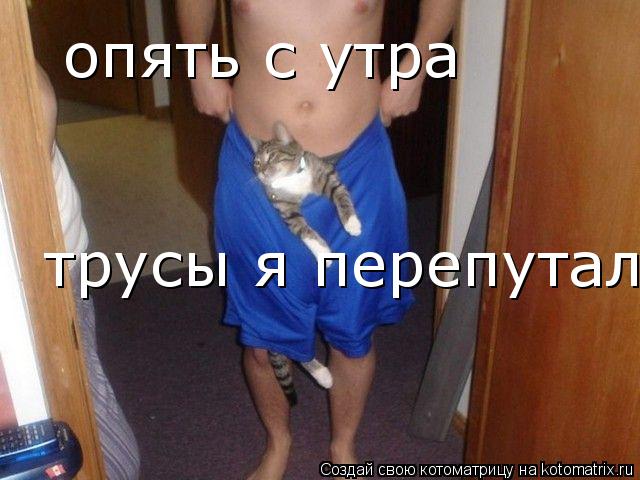 опять с утра трусы я перепутал...... Котоматрица: опять с утра трусы я перепутал...