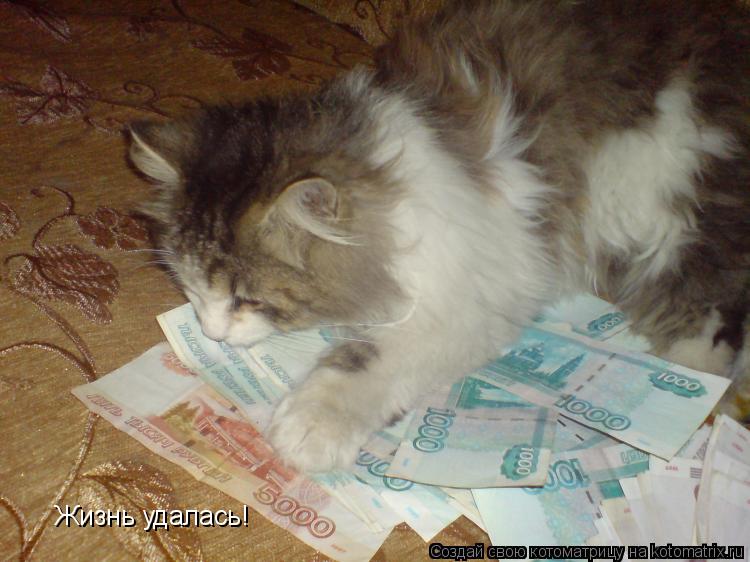 Жизнь удалась!... Котоматрица: Жизнь удалась!
