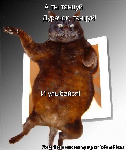 А ты танцуй, Дурачок, танцуй! И улыбайся!... Котоматрица: А ты танцуй, Дурачок, танцуй! И улыбайся!
