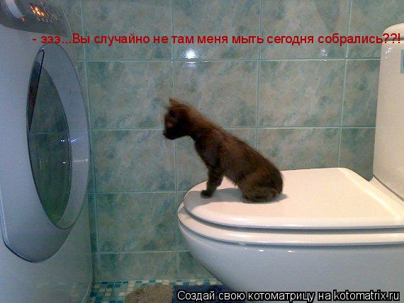 - эээ...Вы случайно не там меня мыть сегодня собрались??!... Котоматрица: - эээ...Вы случайно не там меня мыть сегодня собрались??!