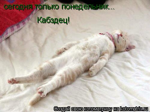 сегодня только понедельник... Кабздец!... Котоматрица: сегодня только понедельник... Кабздец!