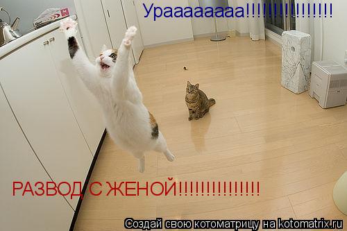 Ураааааааа!!!!!!!!!!!!!!!! РАЗВОД С ЖЕНОЙ!!!!!!!!!!!!!!!... Котоматрица: Ураааааааа!!!!!!!!!!!!!!!! РАЗВОД С ЖЕНОЙ!!!!!!!!!!!!!!!
