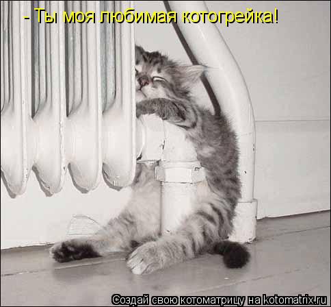 - Ты моя любимая котогрейка!... Котоматрица: - Ты моя любимая котогрейка!