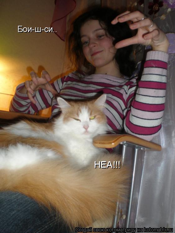Бои-ш-си.. НЕА!!!... Котоматрица: Бои-ш-си.. НЕА!!!