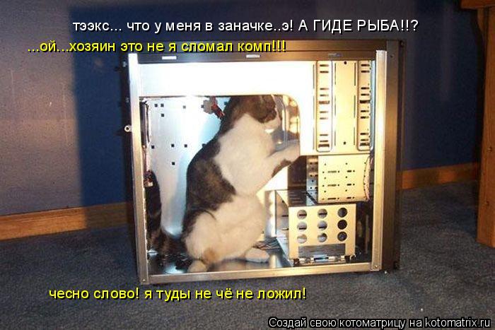 тээкс... что у меня в заначке..э! А ГИДЕ РЫБА!!? ...ой...хозяин это не я сломал комп!!! чесно слово! ... Котоматрица: тээкс... что у меня в заначке..э! А ГИДЕ РЫБА!!? ...ой...хозяин это не я сломал комп!!! чесно слово! я туды не чё не ложил!