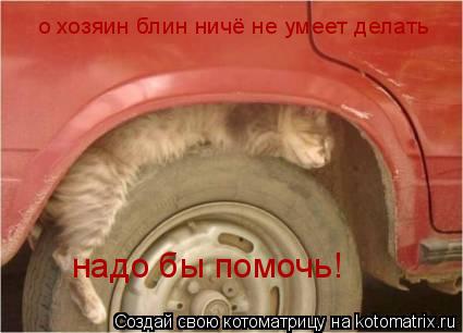 о хозяин блин ничё не умеет делать надо бы помочь!... Котоматрица: о хозяин блин ничё не умеет делать надо бы помочь!