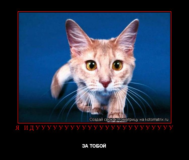 Я ИДУУУУУУУУУУУУУУУУУУУУУУУУ ЗА ТОБОЙ... Котоматрица: Я ИДУУУУУУУУУУУУУУУУУУУУУУУУ ЗА ТОБОЙ
