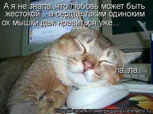 А я не знала..что любовь может быть жестокой , а сердце таким одиноким ох мышки даж нравиться уже..... Котоматрица: А я не знала..что любовь может быть жестокой , а сердце таким одиноким ох мышки даж нравиться уже... ла..ла..