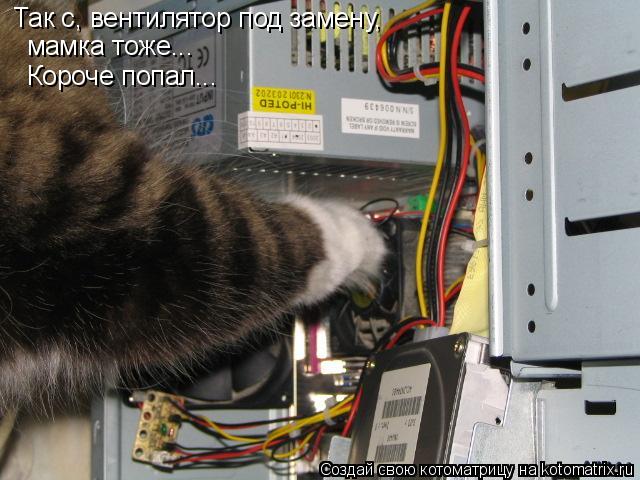 Так с, вентилятор под замену, мамка тоже... Короче попал...... Котоматрица: Так с, вентилятор под замену, мамка тоже... Короче попал...