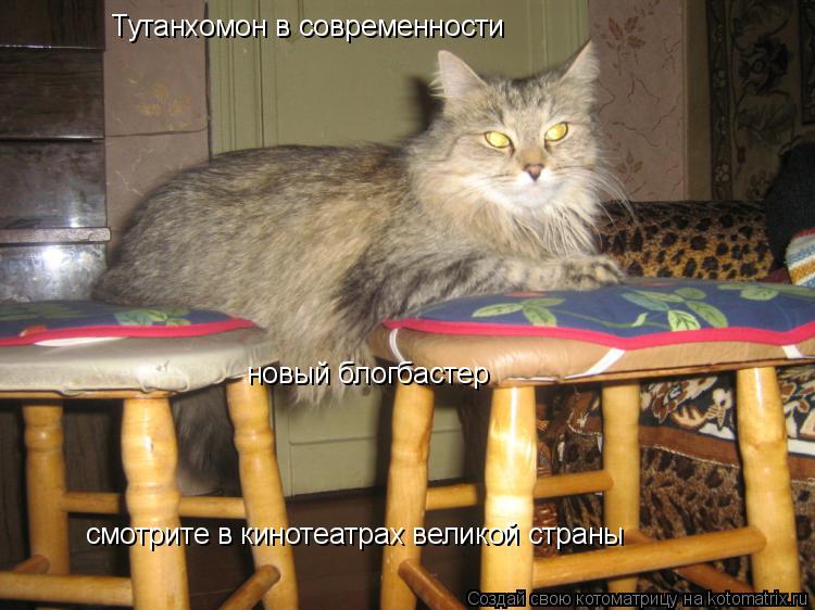 Тутанхомон в современности новый блогбастер смотрите в кинотеатрах великой страны... Котоматрица: Тутанхомон в современности новый блогбастер смотрите в кинотеатрах великой страны