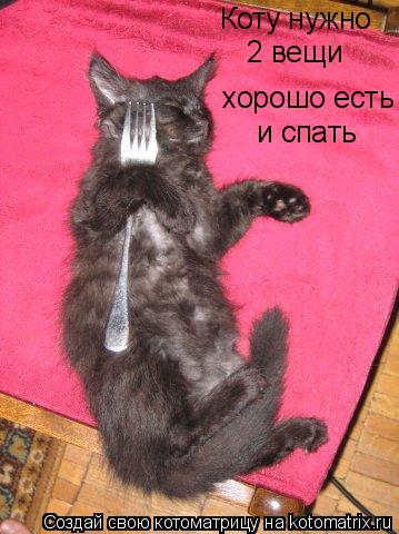 хорошо есть и спать Коту нужно 2 вещи... Котоматрица: хорошо есть и спать Коту нужно 2 вещи