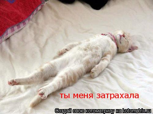 ты меня затрахала... Котоматрица: ты меня затрахала