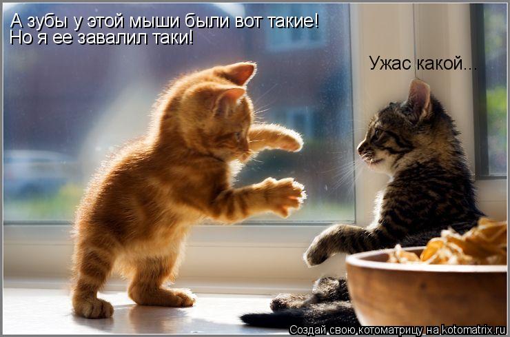 Котоматрица: А зубы у этой мыши были вот такие! Но я ее завалил таки! Ужас какой...