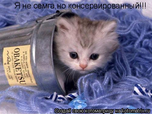 Я не семга,но консервированный!!!... Котоматрица: Я не семга,но консервированный!!!