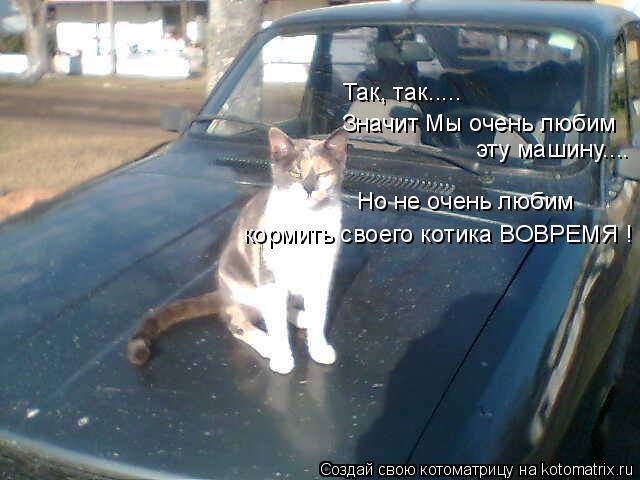 Так, так..... Значит Мы очень любим эту машину.... Но не очень любим кормить своего котика ВОВРЕМЯ !... Котоматрица: Так, так..... Значит Мы очень любим эту машину.... Но не очень любим кормить своего котика ВОВРЕМЯ !