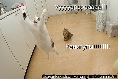 Уууууррррраааа!!! Каникулы!!!!!!!!!... Котоматрица: Уууууррррраааа!!! Каникулы!!!!!!!!!