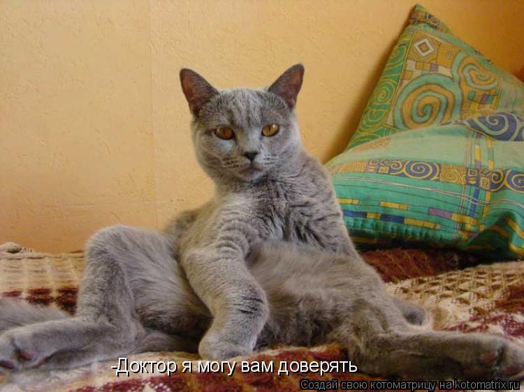-Доктор я могу вам доверять... Котоматрица: -Доктор я могу вам доверять