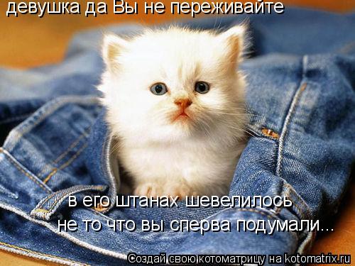 девушка да Вы не переживайте в его штанах шевелилось не то что вы сперва подумали...... Котоматрица: девушка да Вы не переживайте в его штанах шевелилось не то что вы сперва подумали...