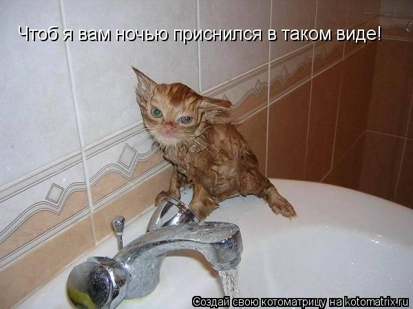 Чтоб я вам ночью приснился в таком виде!... Котоматрица: Чтоб я вам ночью приснился в таком виде!