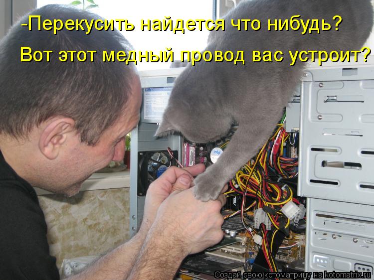 -Перекусить найдется что нибудь? Вот этот медный провод вас устроит?... Котоматрица: -Перекусить найдется что нибудь? Вот этот медный провод вас устроит?