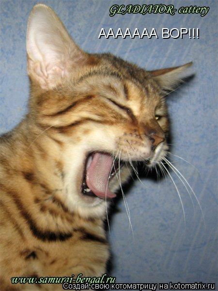 ААААААА ВОР!!!... Котоматрица: ААААААА ВОР!!!