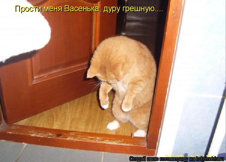Прости меня Васенька, дуру грешную....... Котоматрица: Прости меня Васенька, дуру грешную....