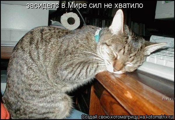 Котоматрица: засиделс в Мире сил не хватило