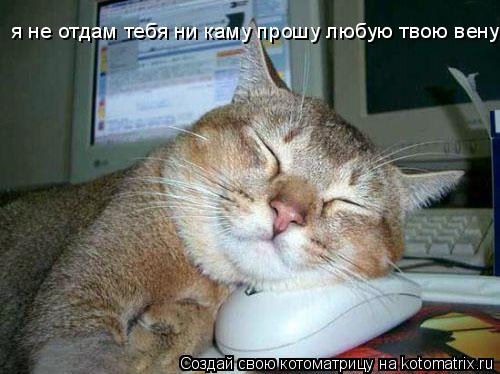 я не отдам тебя ни каму прошу любую твою вену... Котоматрица: я не отдам тебя ни каму прошу любую твою вену