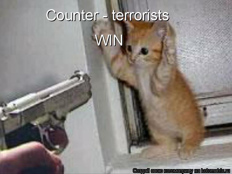 Котоматрица: Counter - terrorists WIN