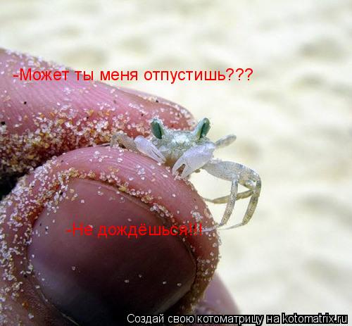 -Может ты меня отпустишь??? -Не дождёшься!!!... Котоматрица: -Может ты меня отпустишь??? -Не дождёшься!!!