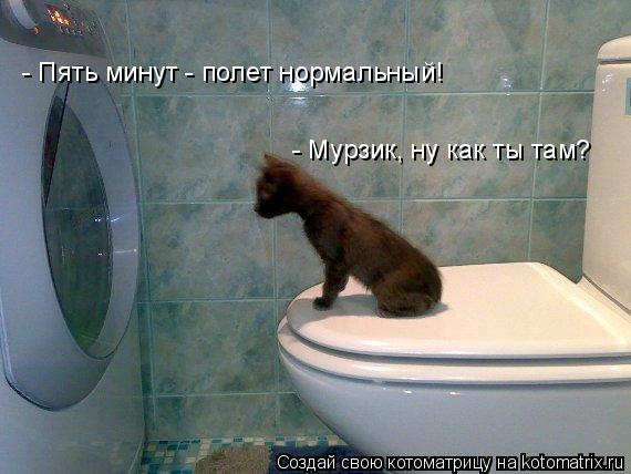 - Мурзик, ну как ты там? - Пять минут - полет нормальный!... Котоматрица: - Мурзик, ну как ты там? - Пять минут - полет нормальный!