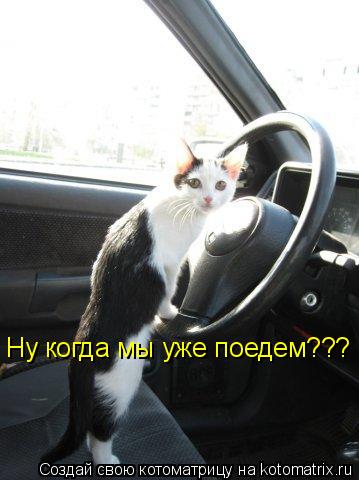 Ну когда мы уже поедем???... Котоматрица: Ну когда мы уже поедем???