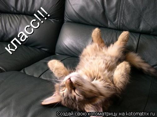 класс!!!... Котоматрица: класс!!!