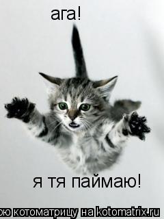 ага! я тя паймаю!... Котоматрица: ага! я тя паймаю!