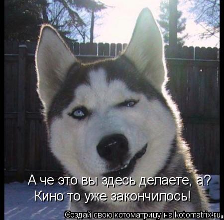 Котоматрица: А че это вы здесь делаете, а?            Кино то уже закончилось!