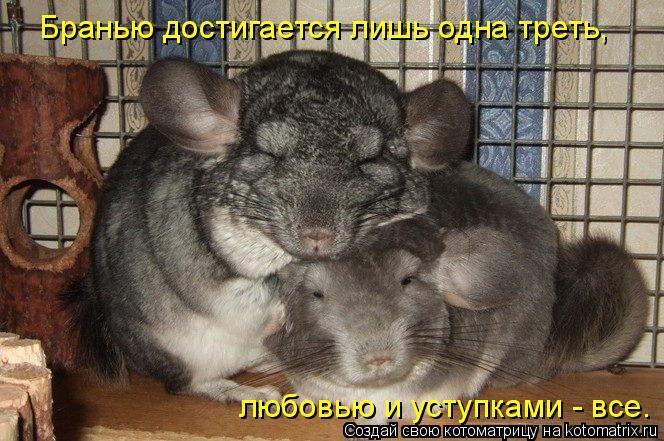 Бранью достигается лишь одна треть, любовью и уступками - все.... Котоматрица: Бранью достигается лишь одна треть, любовью и уступками - все.
