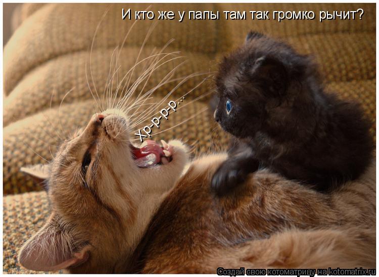 И кто же у папы там так громко рычит? Хр-р-р-р...... Котоматрица: И кто же у папы там так громко рычит? Хр-р-р-р...