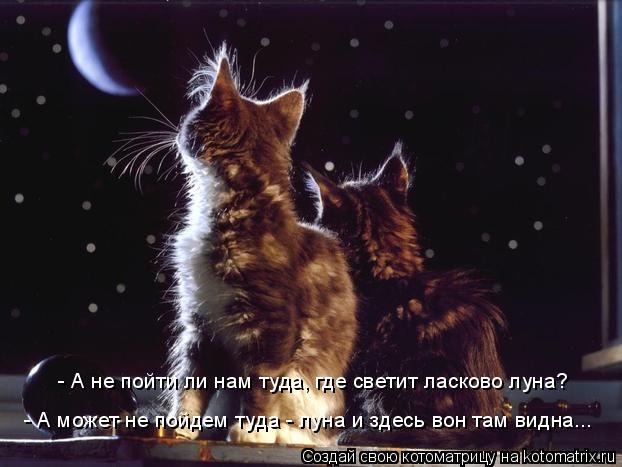 - А не пойти ли нам туда, где светит ласково луна? - А может не пойдем туда - луна и здесь вон там ви... Котоматрица: - А не пойти ли нам туда, где светит ласково луна? - А может не пойдем туда - луна и здесь вон там видна...