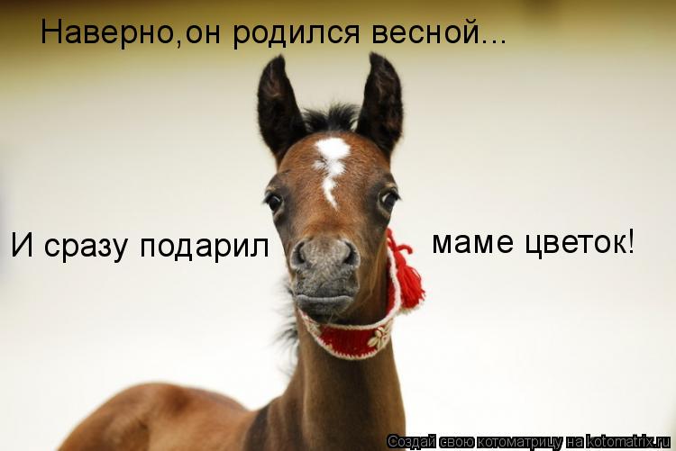 Наверно,он родился весной... И сразу подарил маме цветок!... Котоматрица: Наверно,он родился весной... И сразу подарил маме цветок!