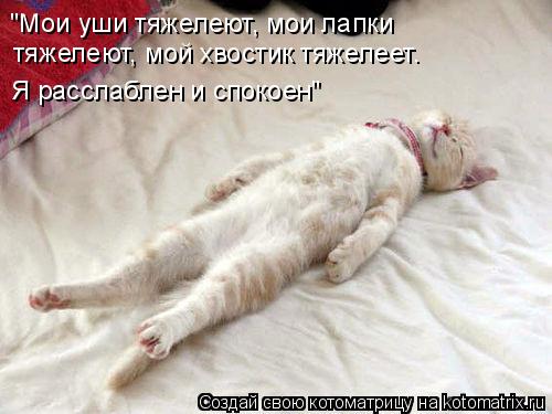 "Мои уши тяжелеют, мои лапки тяжелеют, мой хвостик тяжелеет. Я расслаблен и спокоен"... Котоматрица: "Мои уши тяжелеют, мои лапки тяжелеют, мой хвостик тяжелеет. Я расслаблен и спокоен"