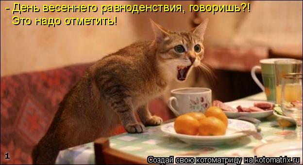 - День весеннего равноденствия, говоришь?! Это надо отметить!... Котоматрица: - День весеннего равноденствия, говоришь?! Это надо отметить!