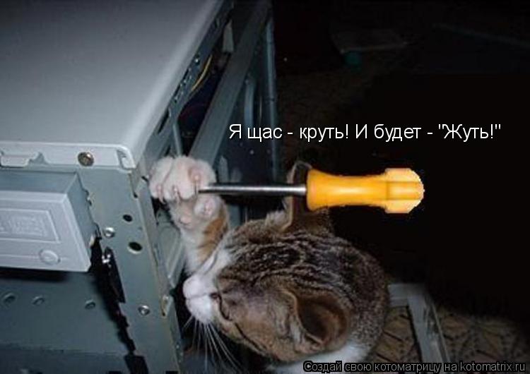 Я щас - круть! И будет - "Жуть!"... Котоматрица: Я щас - круть! И будет - "Жуть!"