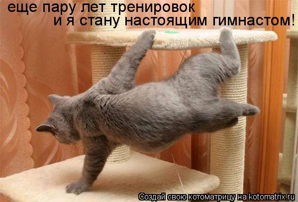 и я стану настоящим гимнастом! еще пару лет тренировок... Котоматрица: и я стану настоящим гимнастом! еще пару лет тренировок