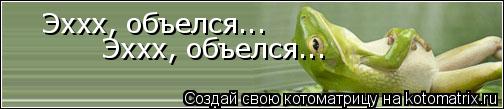 Эххх, объелся... Эххх, объелся...... Котоматрица: Эххх, объелся... Эххх, объелся...