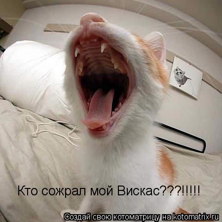 Кто сожрал мой Вискас???!!!!!... Котоматрица: Кто сожрал мой Вискас???!!!!!