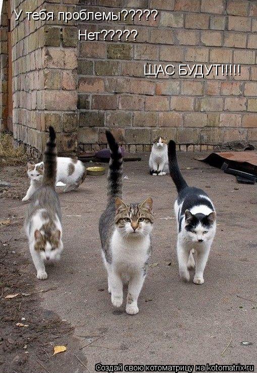 У тебя проблемы????? Нет????? ЩАС БУДУТ!!!!!... Котоматрица: У тебя проблемы????? Нет????? ЩАС БУДУТ!!!!!